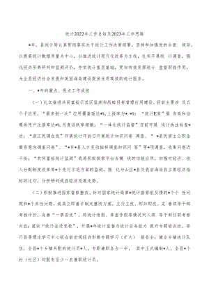 统计2022年工作总结及2023年工作思路.docx