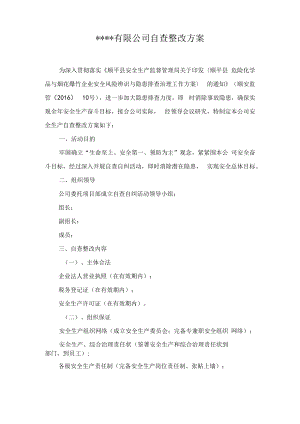 某公司安全生产自查自纠方案.docx