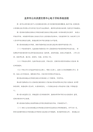 龙井市公共资源交易中心电子开标系统流程.docx