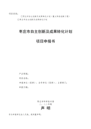 项目类别：.docx