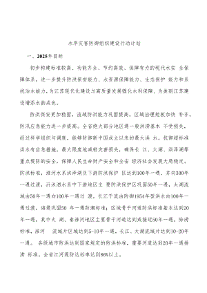 水旱灾害防御组织建设行动计划.docx