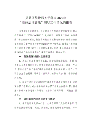 某某区统计局关于落实2022年“谁执法谁普法”履职工作情况的报告.docx