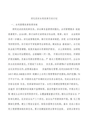 深化农村水利改革行动计划.docx