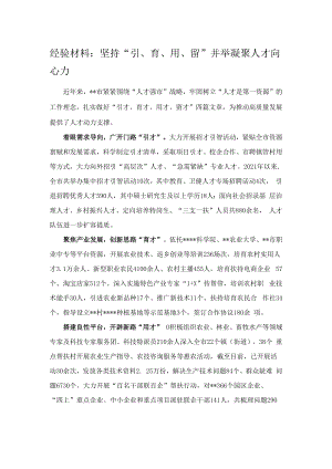 经验材料：坚持“引、育、用、留”并举凝聚人才向心力.docx