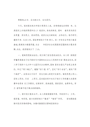 新任统计局局长任职表态发言2篇.docx