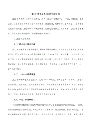 镇2022年总结及2023年工作计划.docx