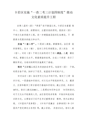 村干部提升工程.docx
