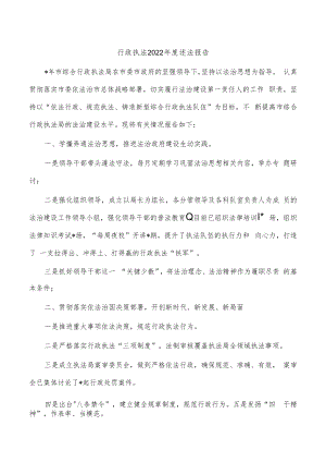 行政执法2022年度述法报告.docx