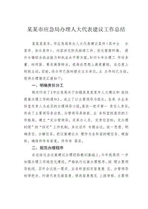 某某市应急局办理人大代表建议工作总结.docx
