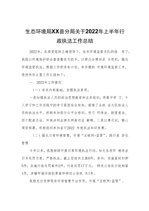 生态环境局XX县分局关于2022年上半年行政执法工作总结.docx