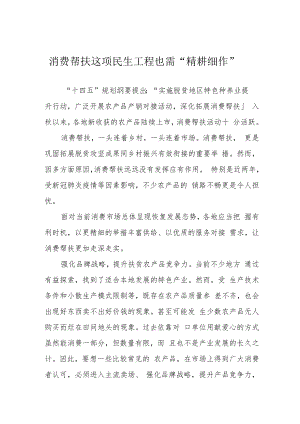 消费帮扶这项民生工程也需“精耕细作”.docx