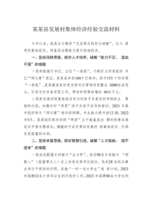 某某县发展村集体经济经验交流材料.docx