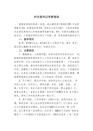 村支部书记考察报告.docx