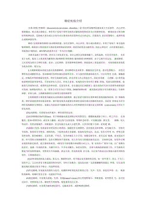 癔症疾病介绍.docx