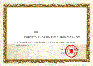 通用简洁优秀员工奖状.docx