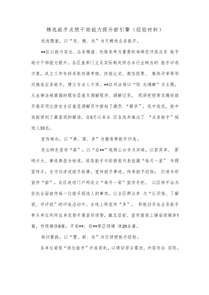 精选能手点燃干部能力提升新引擎（经验材料）.docx
