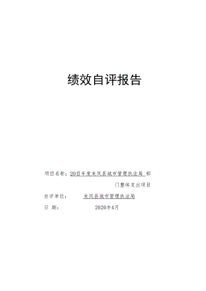 绩效自评报告.docx