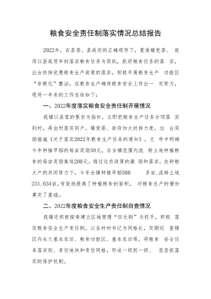 粮食安全责任制落实情况总结报告.docx