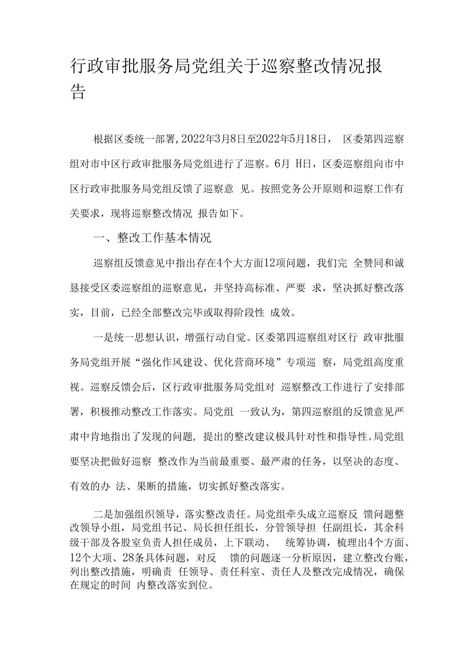 行政审批服务局党组关于巡察整改情况报告.docx_第1页