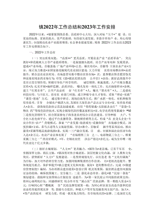 镇2022年工作总结和2023年工作安排.docx