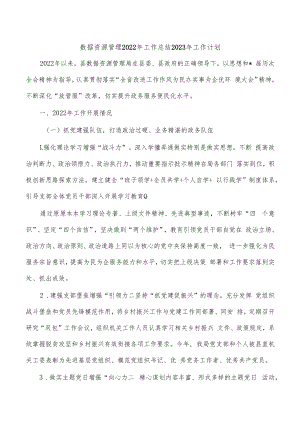 数据资源管理2022年工作总结2023年工作计划.docx