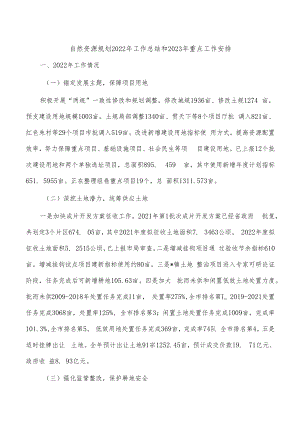 自然资源规划2022年工作总结和2023年重点工作安排.docx