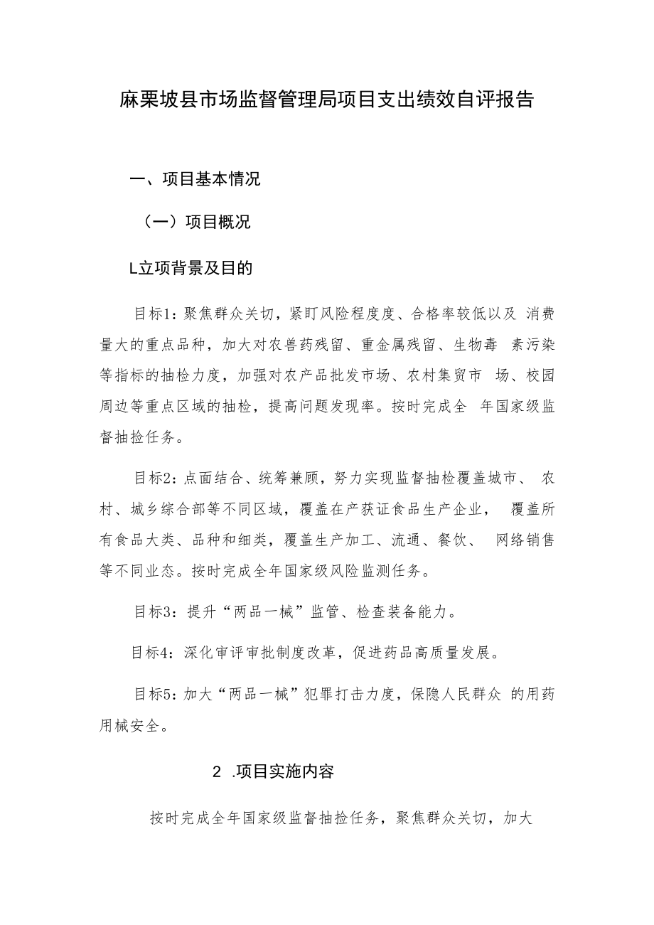 麻栗坡县市场监督管理局项目支出绩效自评报告.docx_第1页