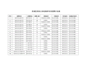 西湖区民转公学校教师专项招聘计划表.docx