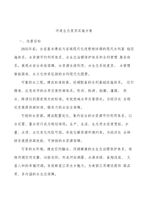 河道生态复苏实施方案.docx