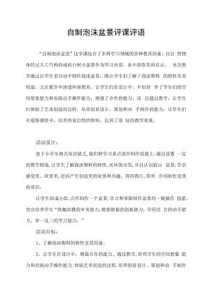 自制泡沫盆景评课评语.docx