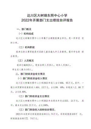 达川区大树镇东照中心小学2022年开展部门支出绩效自评报告.docx