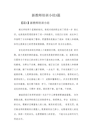 新教师培训小结3篇.docx