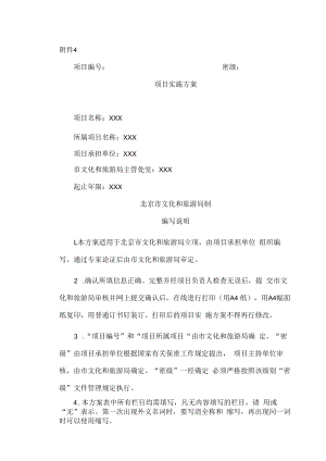 项目实施方案.docx