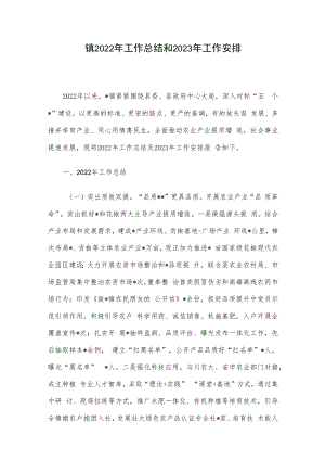 镇2022年工作总结和2023年工作安排.docx