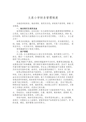 文泉小学财务管理制度.docx