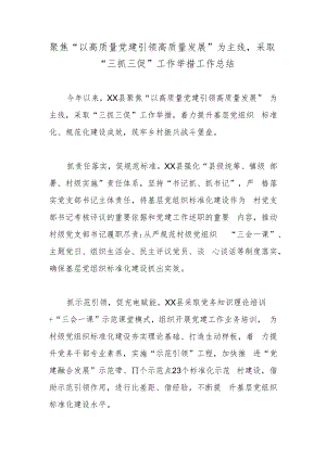 聚焦“以高质量党建引领高质量发展”为主线采取“三抓三促”工作举措工作总结.docx