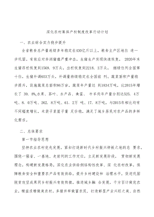 深化农村集体产权制度改革行动计划.docx