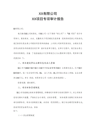 项目申报专项审计报告模板.docx