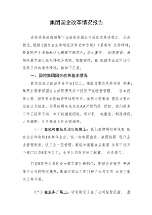 集团国企改革情况报告.docx