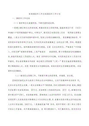 街道2022年工作总结2023年工作计划.docx