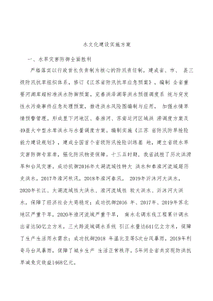 水文化建设实施方案.docx