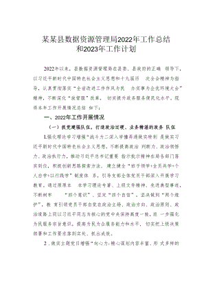 某某县数据资源管理局2022年工作总结和2023年工作计划.docx