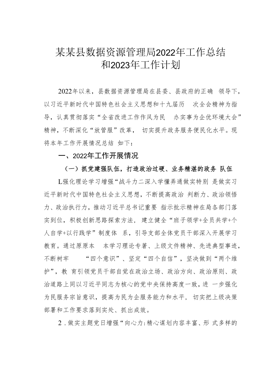 某某县数据资源管理局2022年工作总结和2023年工作计划.docx_第1页
