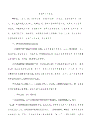 镇禁毒工作汇报.docx