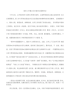 组织工作重点任务推进会强调发言.docx