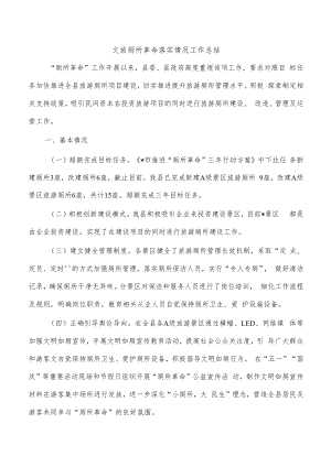 文旅厕所革命落实情况工作总结.docx