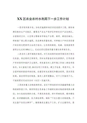 XX区农业农村水利局下一步工作计划.docx