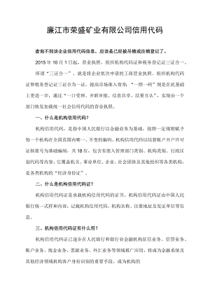 廉江市荣盛矿业有限公司信用代码.docx