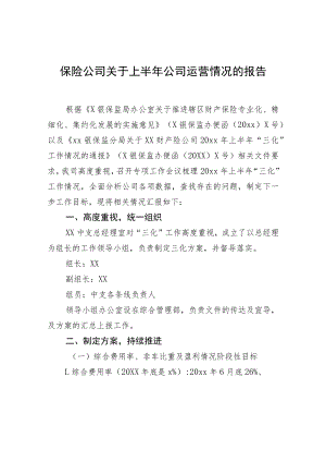 保险公司关于上半年公司运营情况的报告.docx