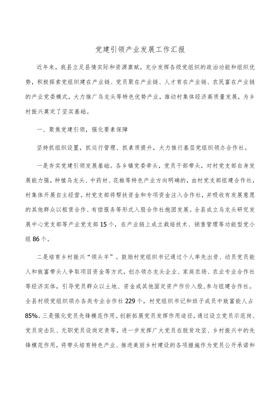 党建引领产业发展工作汇报.docx_第1页